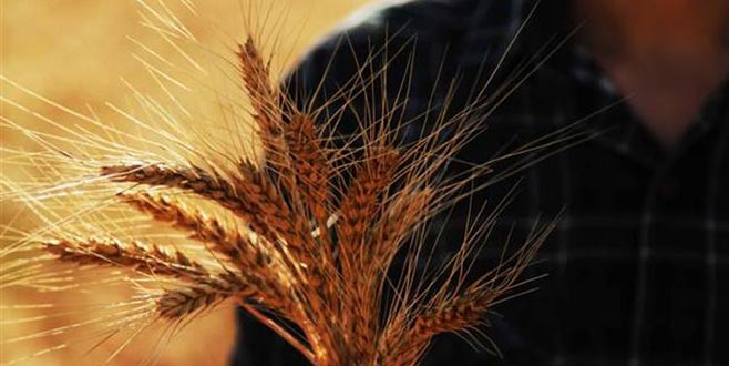 Fiyat dengesizliğini giderme gayretindeyiz