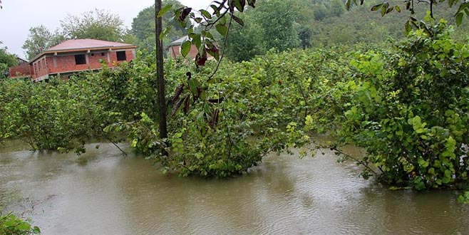Afetten etkilenen çiftçiye iyi haber