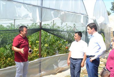 Büyükorhan’da seracılık alternatif olacak