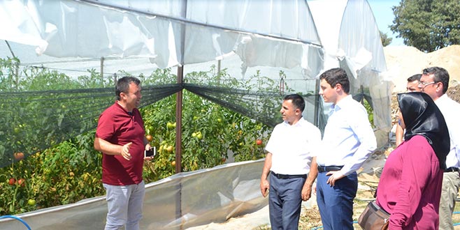 Büyükorhan’da seracılık alternatif olacak