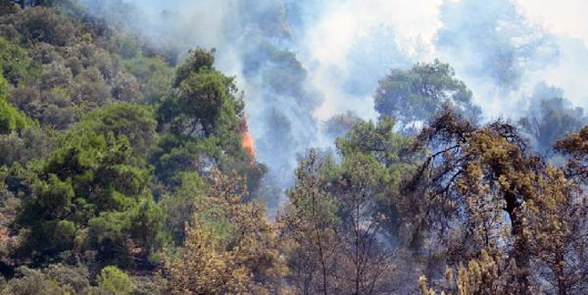 Bursa’dan bir orman yangını haberi daha Bursa’dan bir orman yangını haberi daha