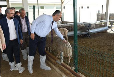 Büyükşehir’den üreticiye destek