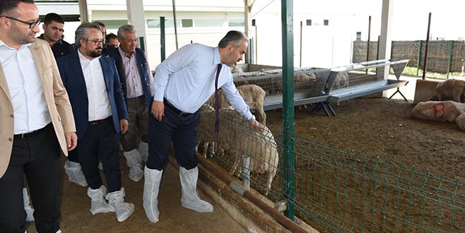 Büyükşehir’den üreticiye destek