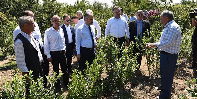 Dağ yöresinin önceliklerini belirleyerek çalışıyoruz