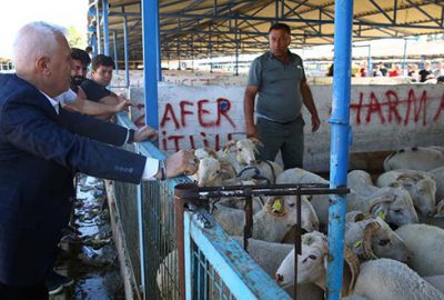 Nilüfer Kurban Bayramı’na hazır
