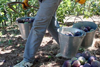‘Bursa siyahı’ için gümrükte nöbetçi talebi