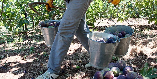 ‘Bursa siyahı’ için gümrükte nöbetçi talebi
