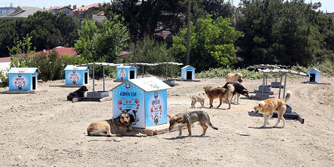 Mudanya Belediyesi’ne sağlıklı çevre ödülü Mudanya Belediyesi’ne sağlıklı çevre ödülü