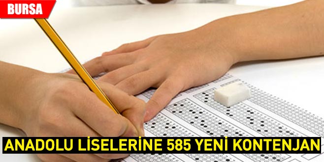 Anadolu liselerine 585 yeni kontenjan Anadolu liselerine 585 yeni kontenjan