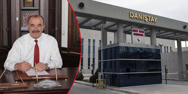 Danıştay’dan zeytinliklerle ilgili son karar