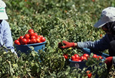 Aktaş planlı üretim modeline dikkat çekti