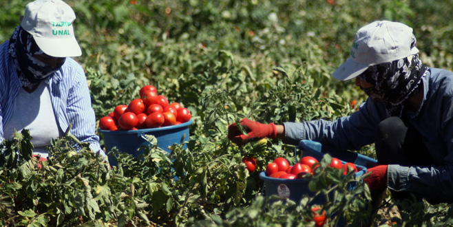 Aktaş planlı üretim modeline dikkat çekti