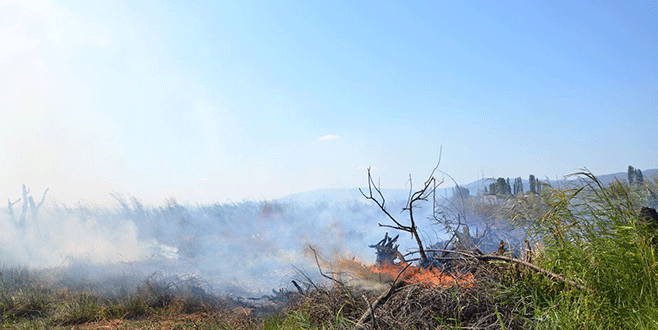 İznik’te sazlıklar alev alev yandı