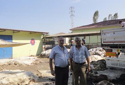 Orhangazi THK Şubesi 3 bin 300 deri topladı