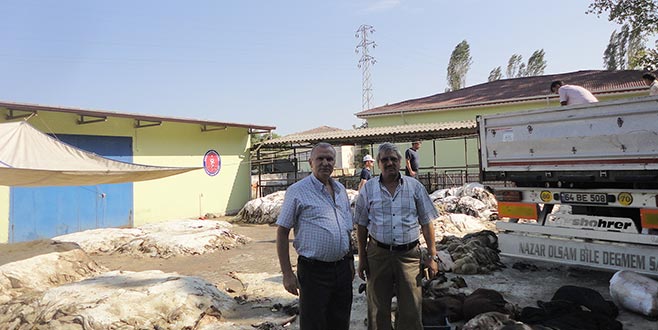 Orhangazi THK Şubesi 3 bin 300 deri topladı Orhangazi THK Şubesi 3 bin 300 deri topladı