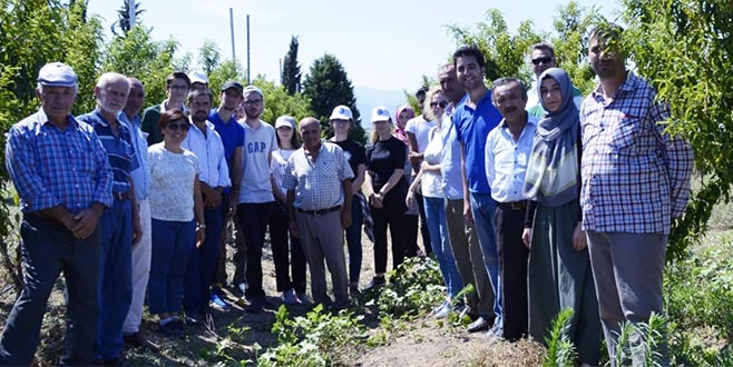 Çiftçilere budama teknikleri anlatıldı