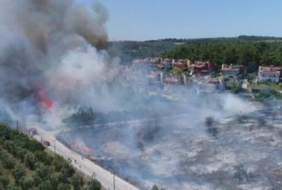 Bursa’da orman yangını!