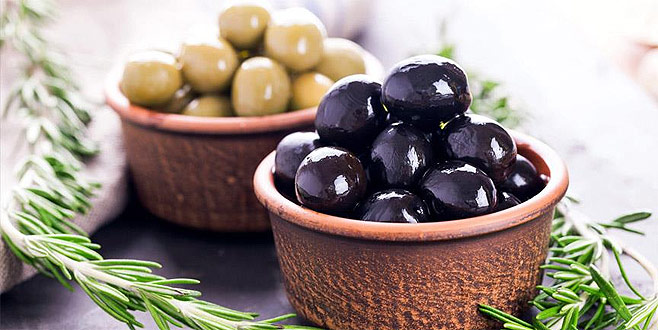 Avrupa Gemlik Zeytinini sevdi