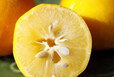 Limon hasadında yük kadınlarda