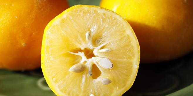 Limon hasadında yük kadınlarda