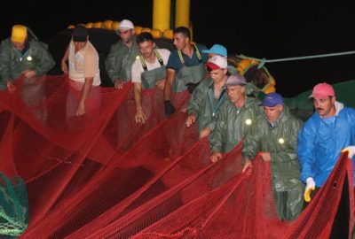 Balıkçılar ‘vira bismillah’ dedi kasalar doldu