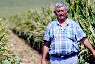 Sözleşmeli tarım çiftçiyi rahatlattı