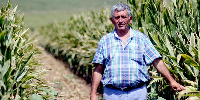 Sözleşmeli tarım çiftçiyi rahatlattı