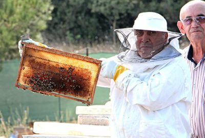 Yağmur ve sıcaklar bal üretimini düşürdü