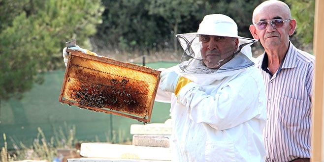 Yağmur ve sıcaklar bal üretimini düşürdü