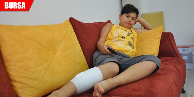 Sokak köpeği, Ahmet Can’ı hastanelik etti