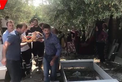 Mezarcının bahçesine uçtu