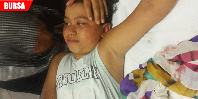 Sokak köpeği dehşet saçtı