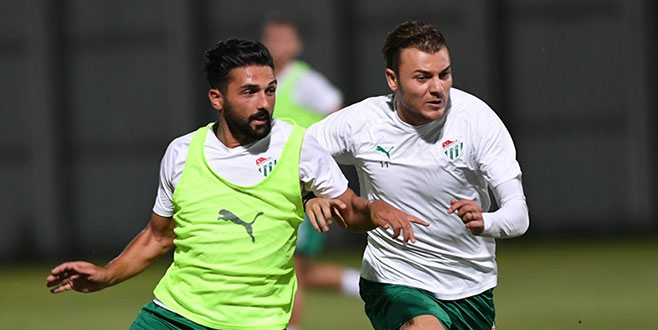 Timsah toplandı Timsah toplandı