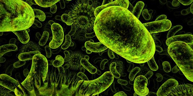 Dünyayı tehdit eden bakteri! Tüm antibiyotiklere dayanıklı…