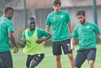 Timsah sıkı çalışıyor