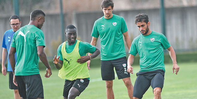 Timsah sıkı çalışıyor Timsah sıkı çalışıyor