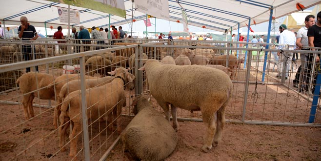 Tarım ve hayvancılık ihmal edilmemeli