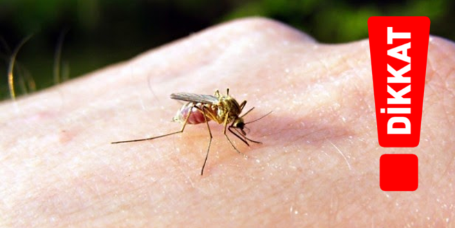 Dikkat! Tehlike saçıyor