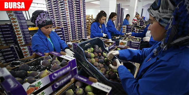 Fiyatı yükselince telefonları sustu