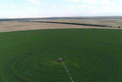 Hazine arazileri çiftçilere kiralanacak