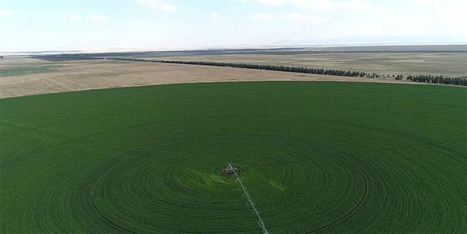 Hazine arazileri çiftçilere kiralanacak Hazine arazileri çiftçilere kiralanacak