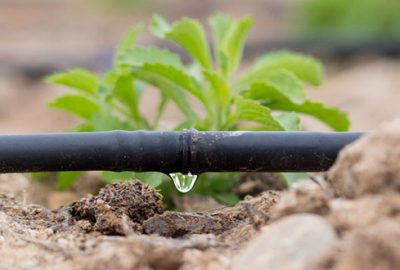 Sulama sisteminde damlama önerisi