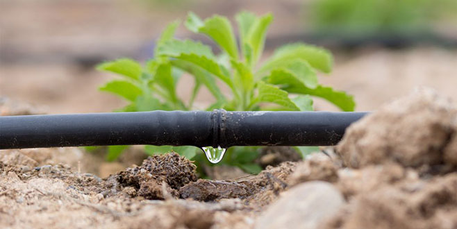 Sulama sisteminde damlama önerisi Sulama sisteminde damlama önerisi