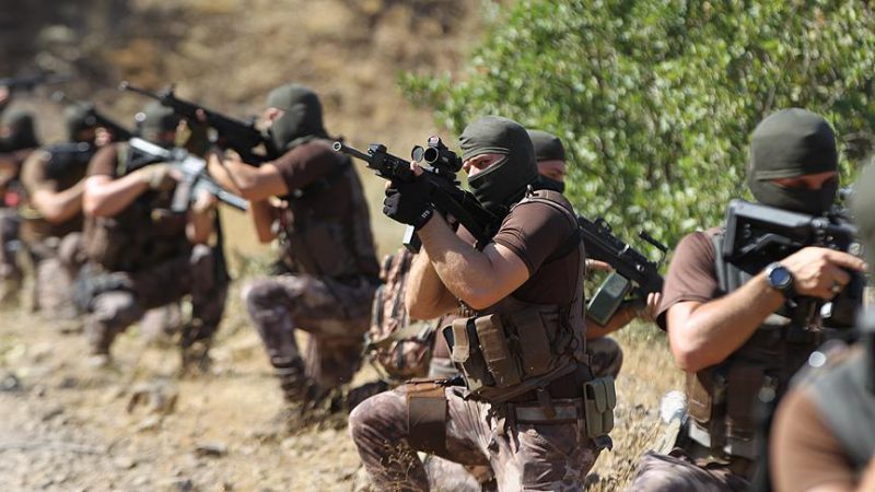 Hakkari'de terör örgütü PKK'ya yönelik devam eden operasyonda biri kadın
