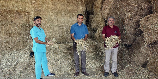 Yenişehirli çiftçiye mısır samanı önerisi