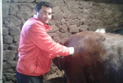 Büyükorhan’da şap aşılamaları başladı