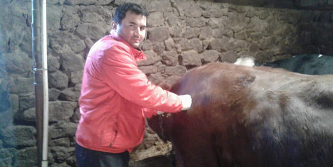 Büyükorhan’da şap aşılamaları başladı