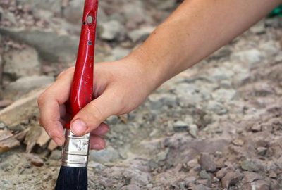 Bilinen en eski hayvan fosili bulundu