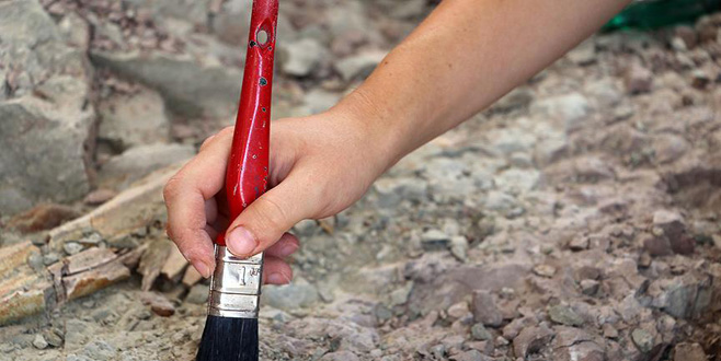 Bilinen en eski hayvan fosili bulundu Bilinen en eski hayvan fosili bulundu