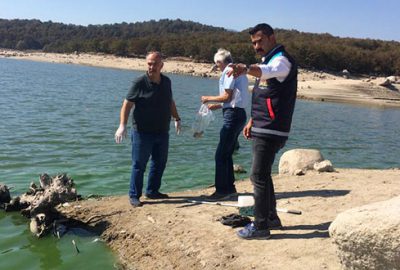 Balık ölümleri korkuttu